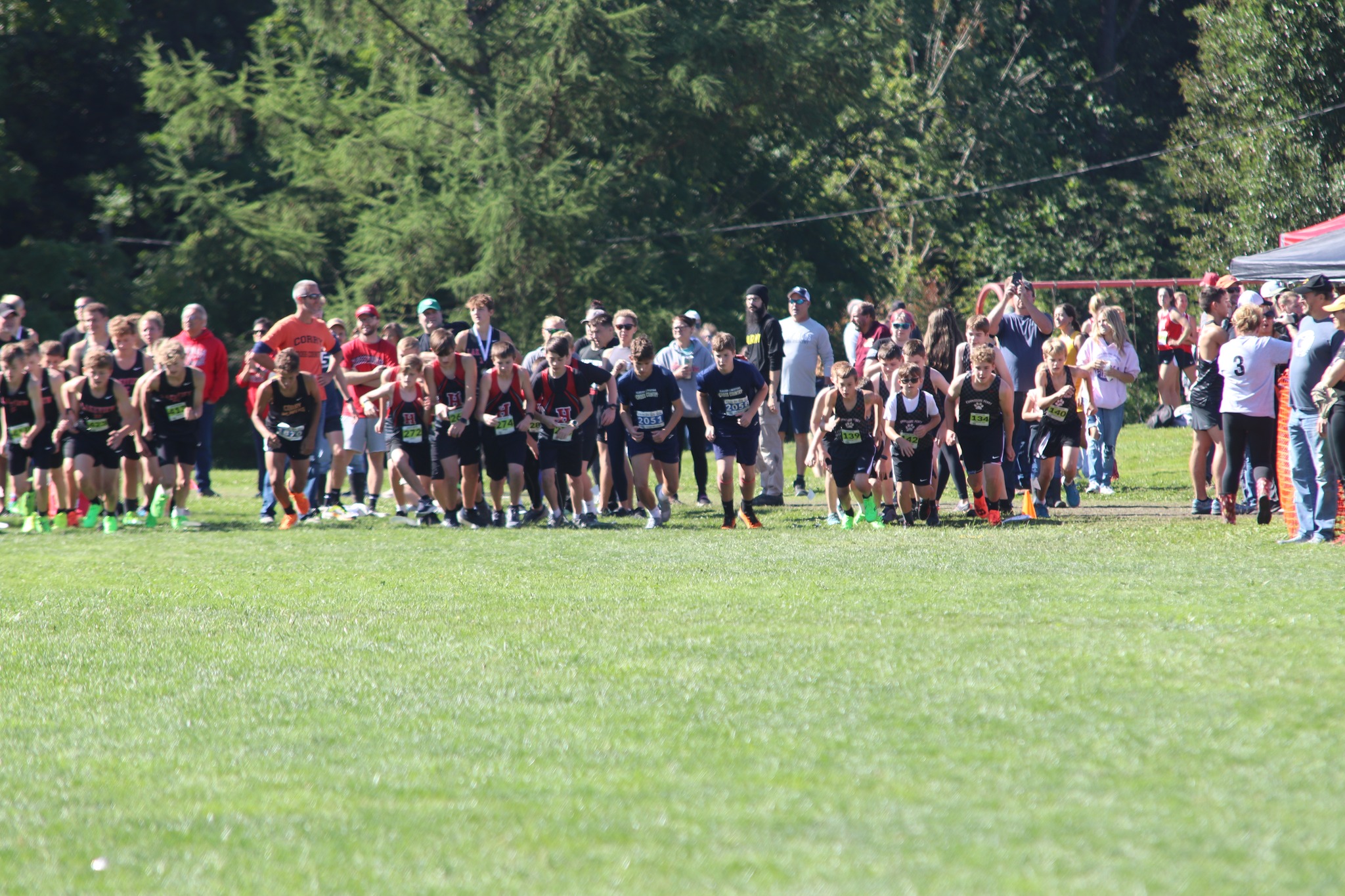 Cross Country photo Diane Lutz