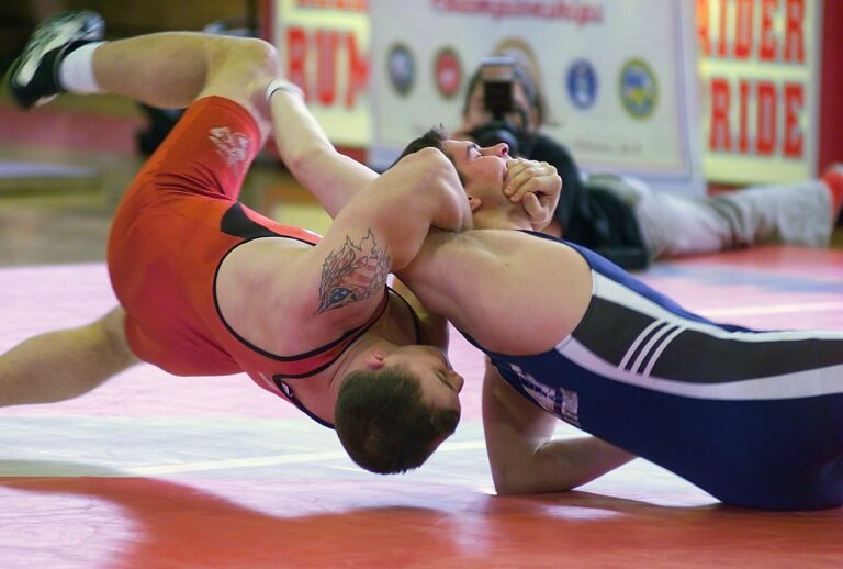 Wrestling 2