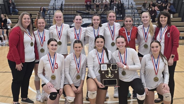 Redbank Valley 2024 District 9 Class 2A Volleyball Champions